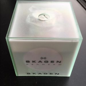 Men's Skagen Watch